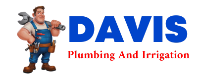 Trusted plumber in ECKERT